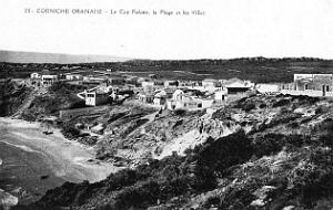 CAP FALCON (1057)